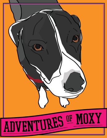 Moxy2